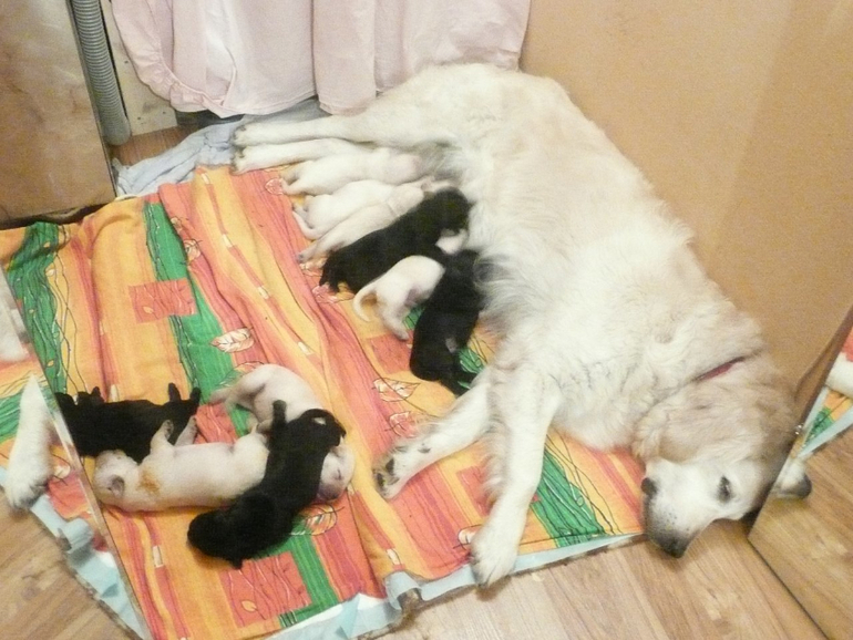 решила вспомнить))