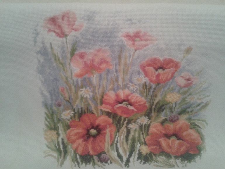 Мой долговышев