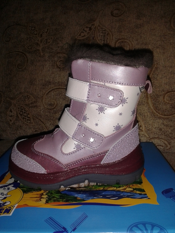 зимние сапожки