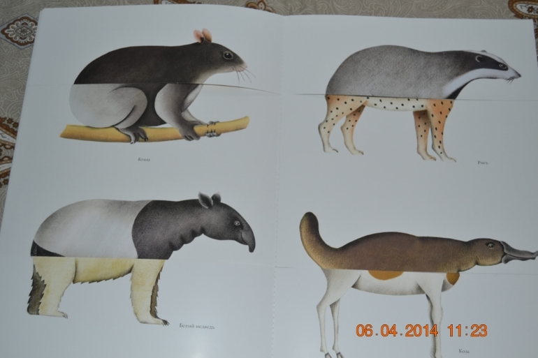 Наше апрельское пополнение