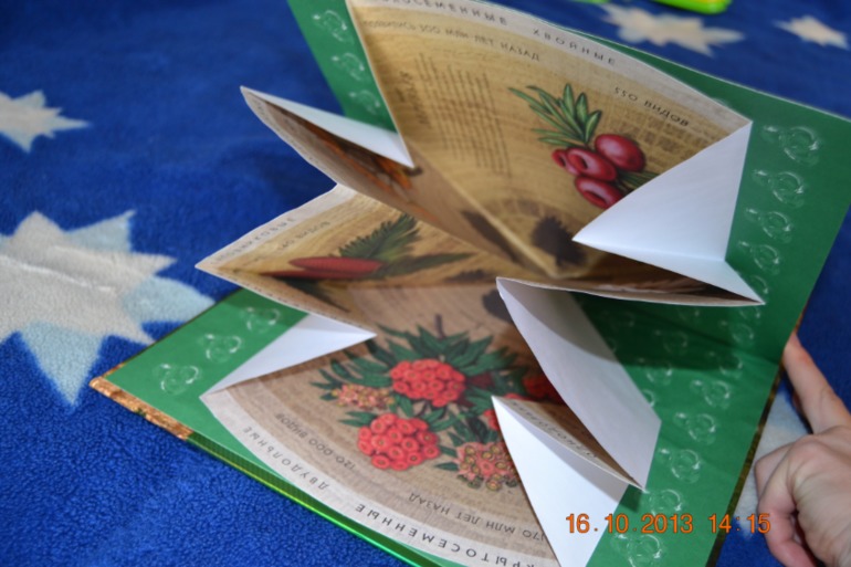 bbb1759b7bded0cb2459eb3446f926e7.jpg