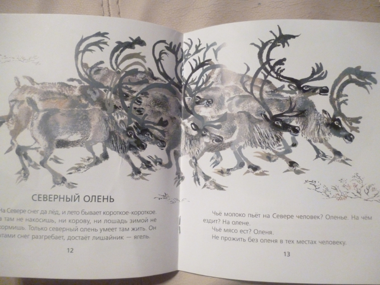 Чарушинские зверята (подробные фото и отзыв)