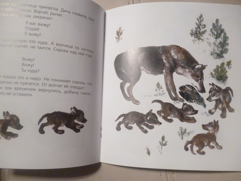 Чарушинские зверята (подробные фото и отзыв)