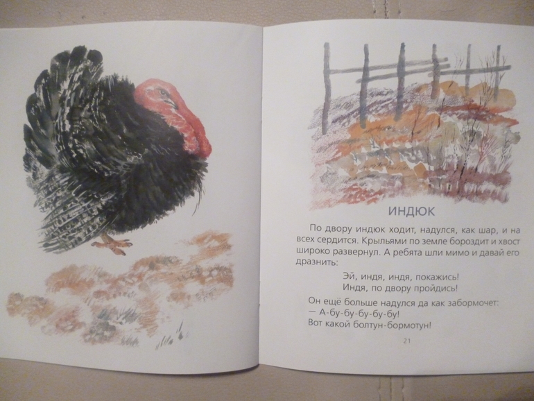 Чарушинские зверята (подробные фото и отзыв)