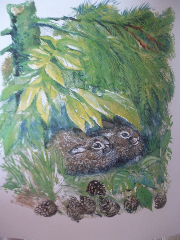 Чарушинские зверята (подробные фото и отзыв)