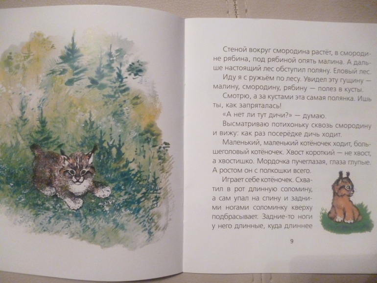 Чарушинские зверята (подробные фото и отзыв)