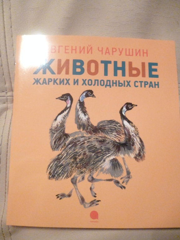 Чарушинские зверята (подробные фото и отзыв)