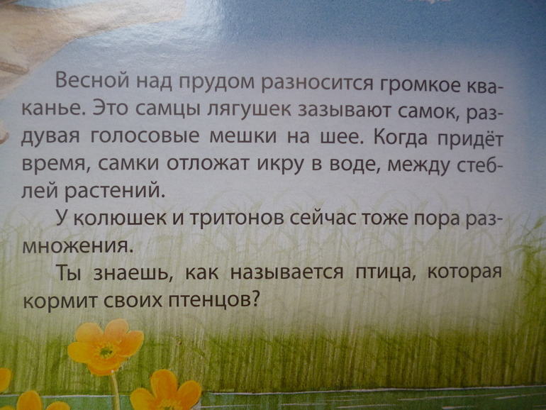 Первые книги малыша. Учим новые слова (бюджетные гляделки, много фото)