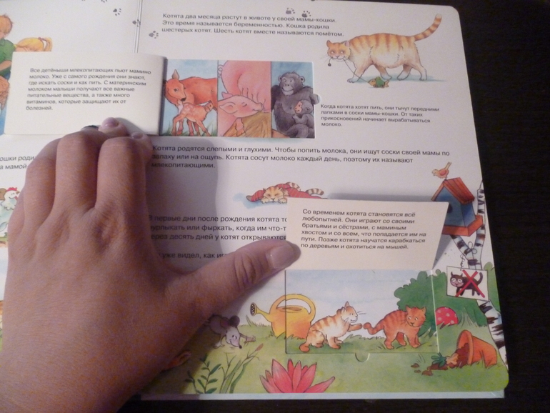 Энциклопедии про животных