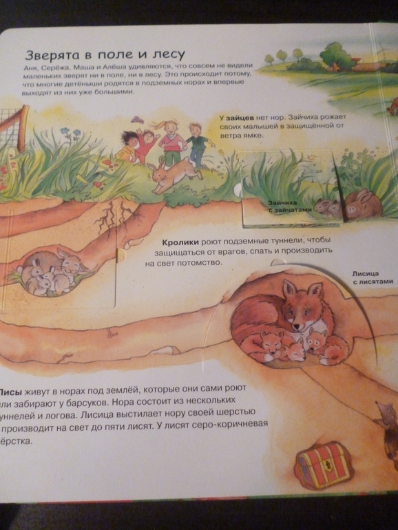 Энциклопедии про животных