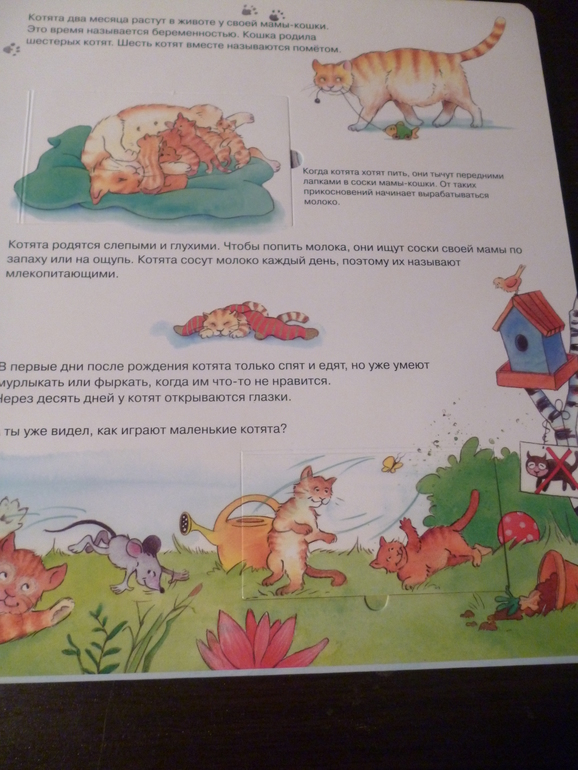 Энциклопедии про животных