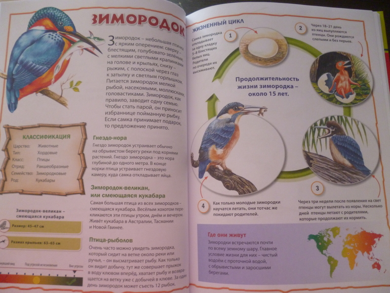 Энциклопедии про животных