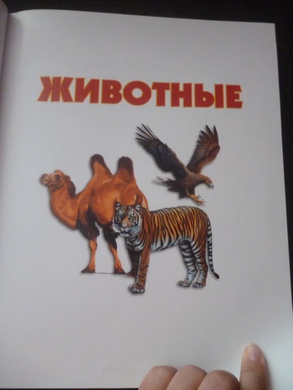 Энциклопедии про животных