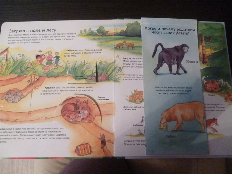 Энциклопедии про животных