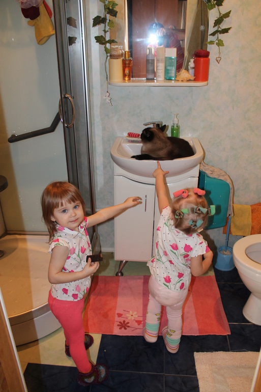 А вот и наши 2 годика!