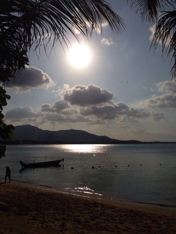 О приятном и не очень...