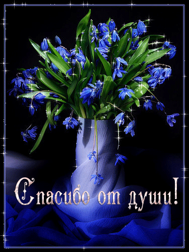 Огромная благодарность!