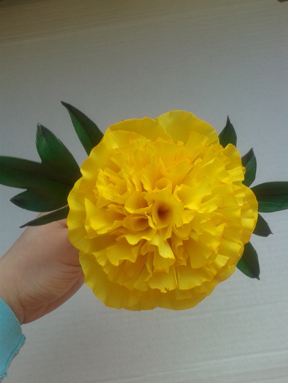 Мой пиончик ))))