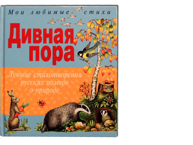 Книжно-зимний отчет или Дед Мороз vs Санта Клаус