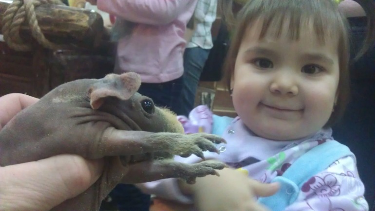 Мои сладкие)