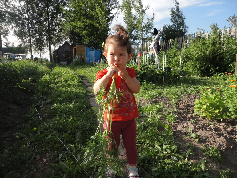Наше лето 2013!