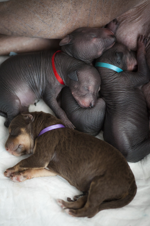 Наконец то!!!