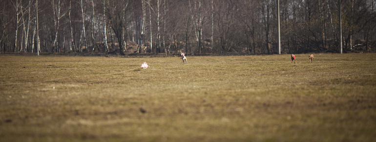 первый курсинг Фарры))