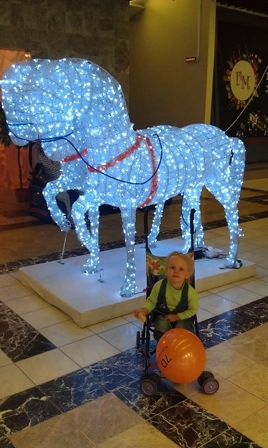 Санкт-Петербург, 7 - 14 июня 2014 год