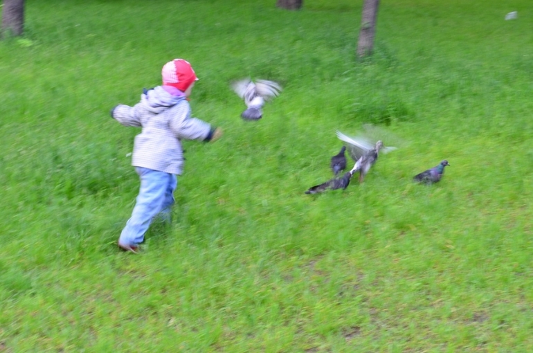 Санкт-Петербург, 7 - 14 июня 2014 год