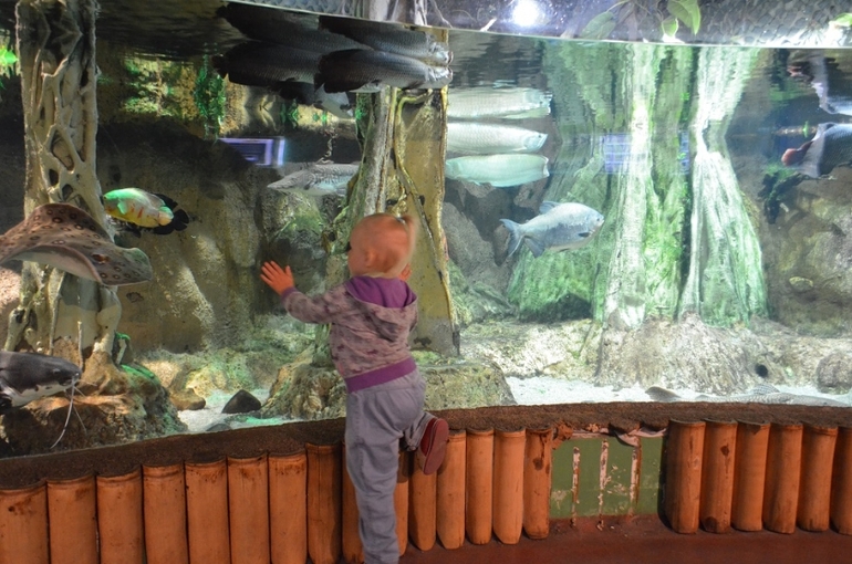 Санкт-Петербург, 7 - 14 июня 2014 год