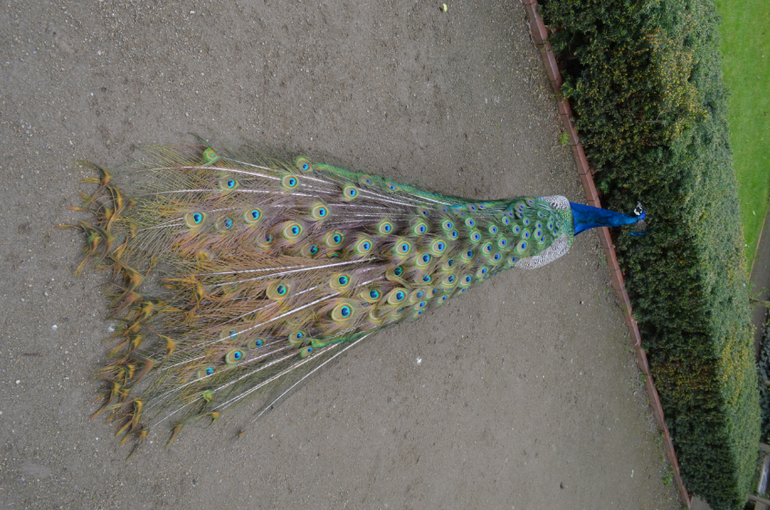 Прага 12-19 апреля 2014 год