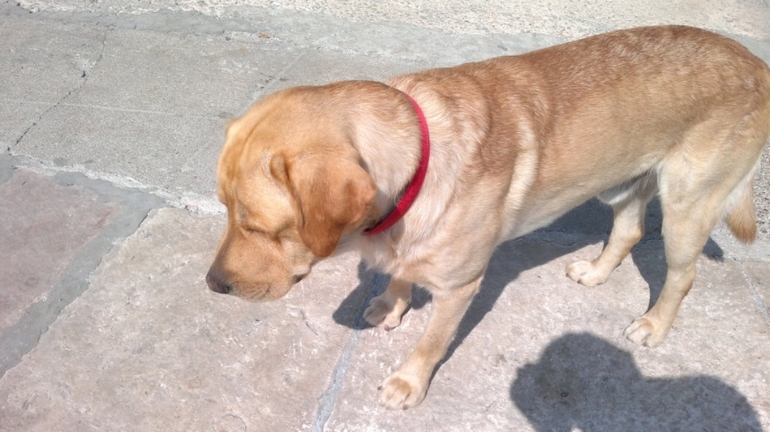 Черногория 2013, Бигова(много фото)