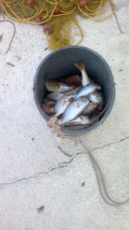 Черногория 2013, Бигова(много фото)