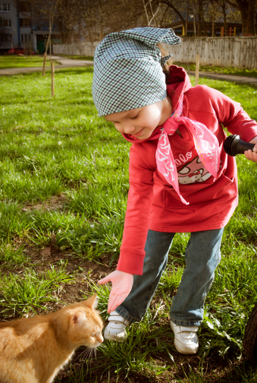 Мир-дружба-жвачка))