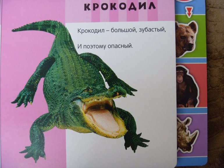0af907938142a688ec7e24594c0c6526.jpg