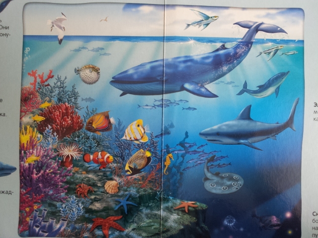 100 волшебных звуков или