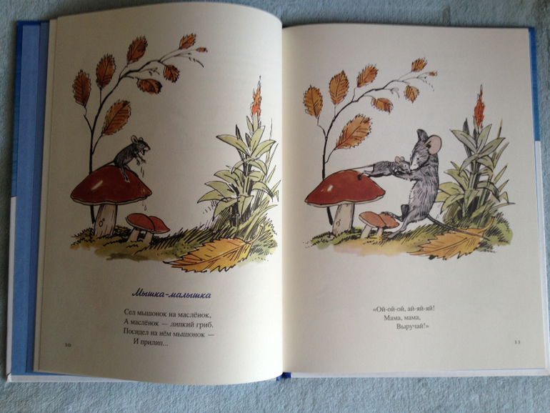 Наши книжные обновки