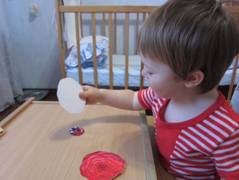 ТН НАСЕКОМЫЕ День 4