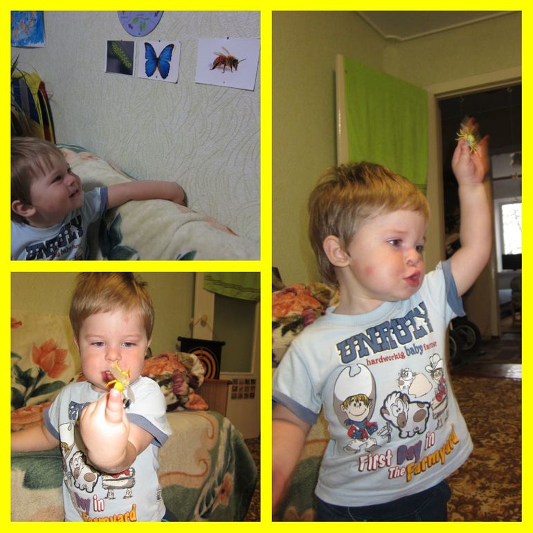 ТН НАСЕКОМЫЕ День 2