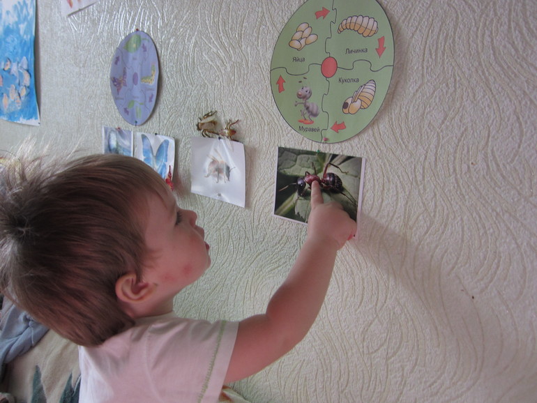 ТН НАСЕКОМЫЕ День 3