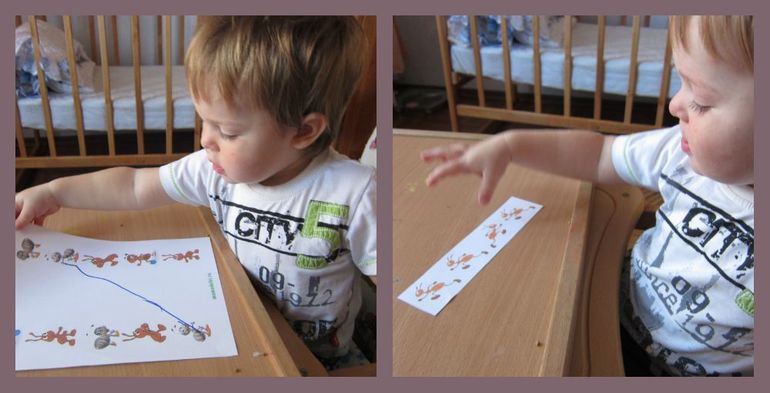 ТН НАСЕКОМЫЕ День 3