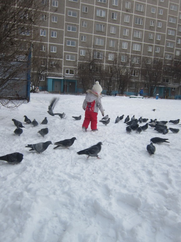 ТН Встречавем зиму. День второй. Зимующие птицы
