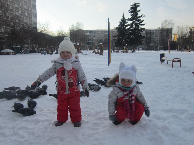 ТН Встречавем зиму. День второй. Зимующие птицы