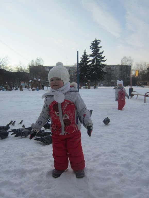 ТН Встречавем зиму. День второй. Зимующие птицы
