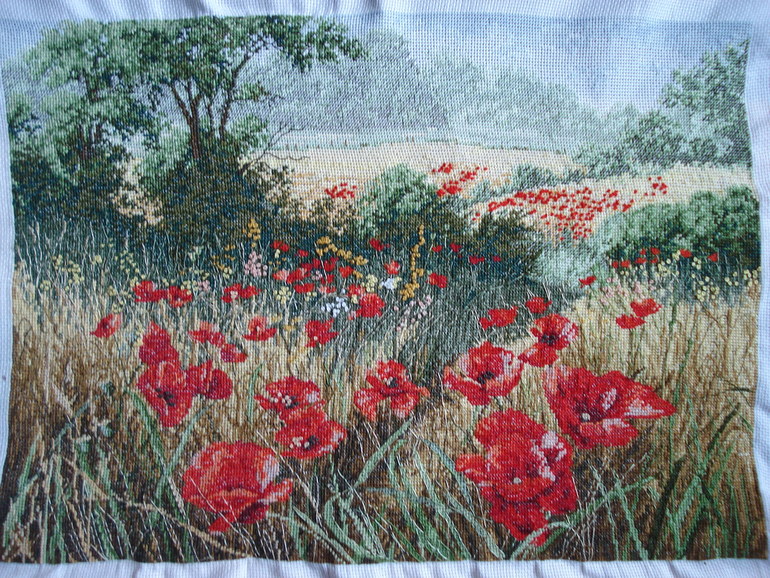 А вот и мое маковое поле)