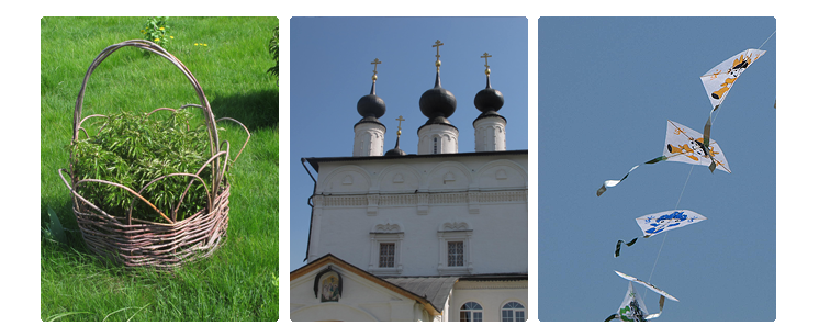 Взлет 74 день 11