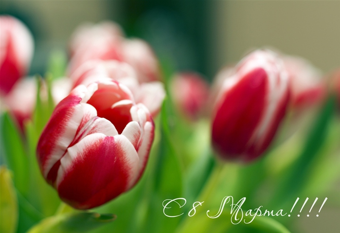 b801f17caa7d26d8d8ee68bc0bf43bb6.jpg