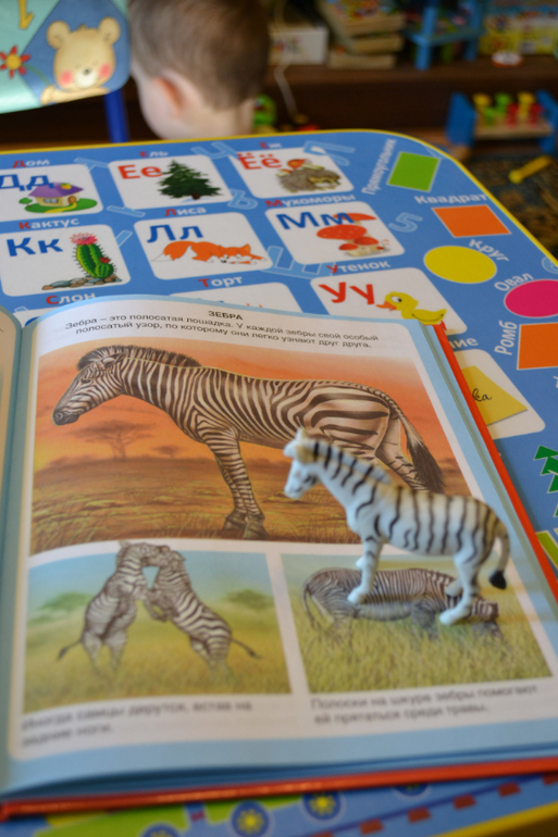 Наши животные