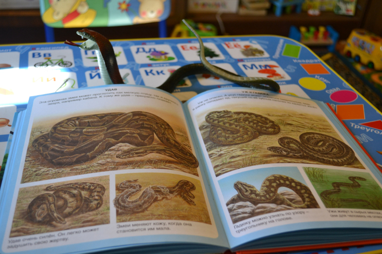 Наши животные