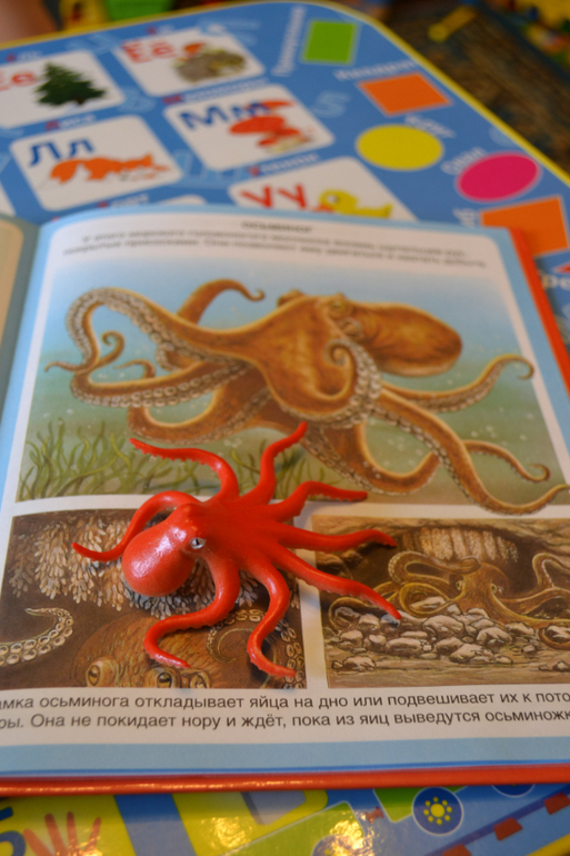 Наши животные